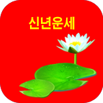 ������ ���� �ų⹫��